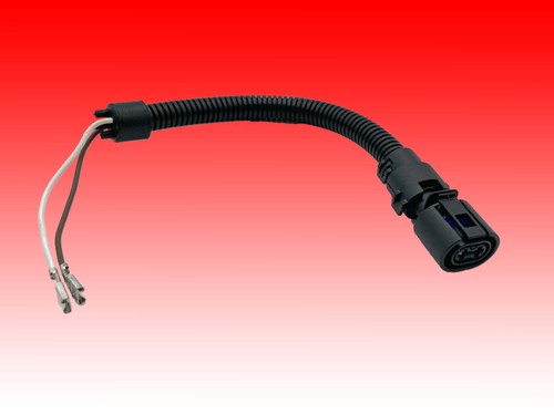 Stecker polig passend - stecker, für